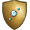 Diamond gold shield