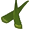 Aloe leaves