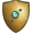 Aquamarine gold shield